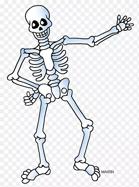 2018年冬奥会的骨骼-男子免费内容人体骨骼剪贴画-跑步骨骼剪贴画