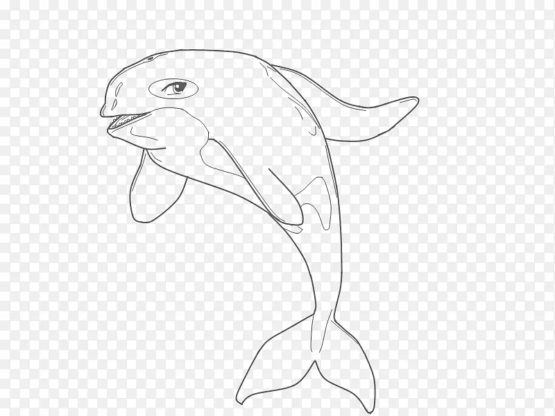 海豚白线艺术素描-海豚图片