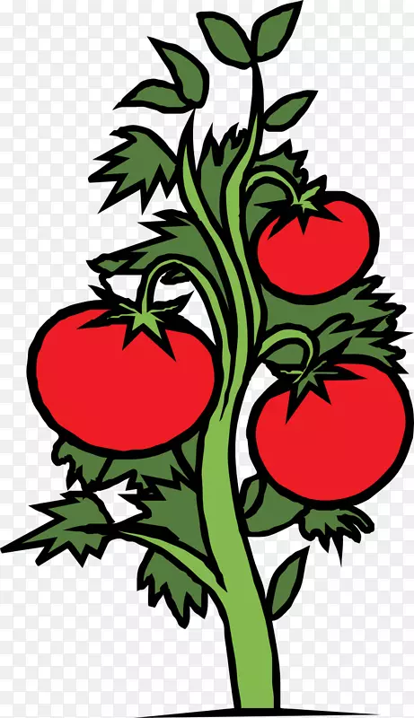 樱桃番茄植物画夹艺术-原木剪贴画