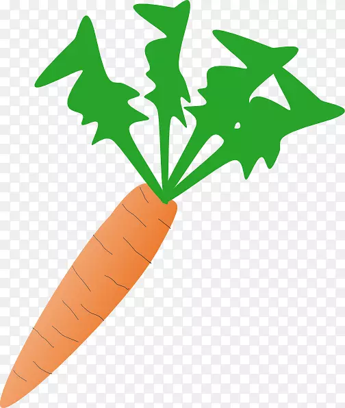 胡萝卜免费内容夹艺术-芹菜剪贴画