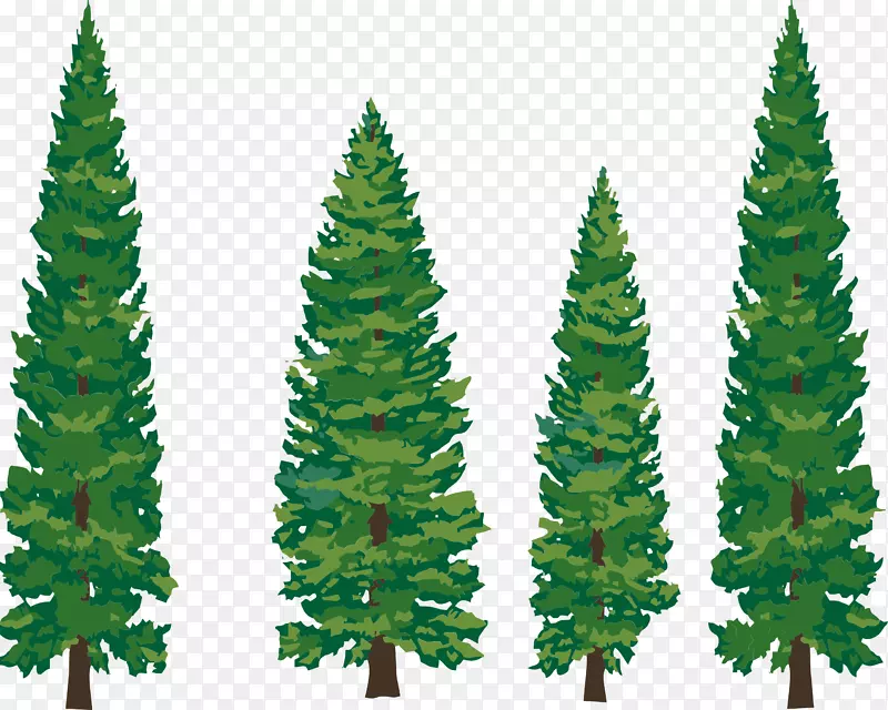 松树冷杉常绿剪贴画-松树插图