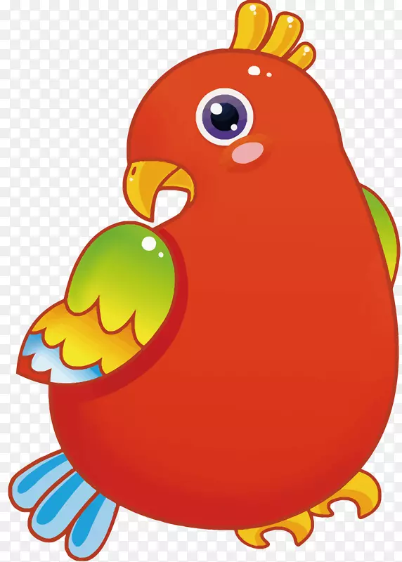 鹦鹉鸟卡通-红鹦鹉