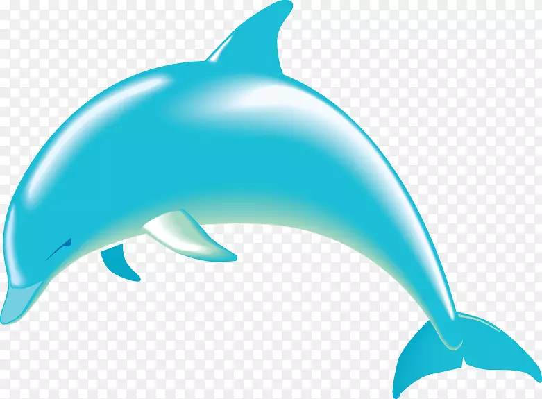 旋转海豚免费内容剪辑艺术.海洋剪贴画