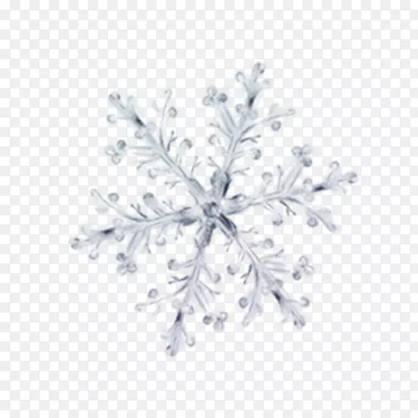 冬季花瓣冰图案-冬季雪花图案装饰元素