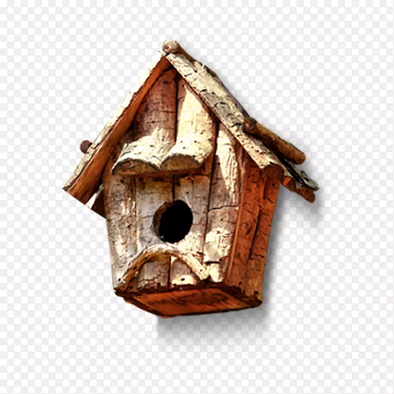 鸟类动画.木制筑巢材料