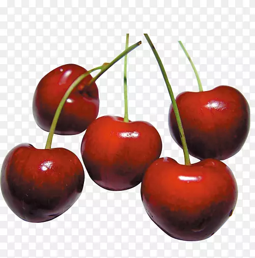 樱桃、奥格里斯、维生素C、植物碳水化合物-樱桃