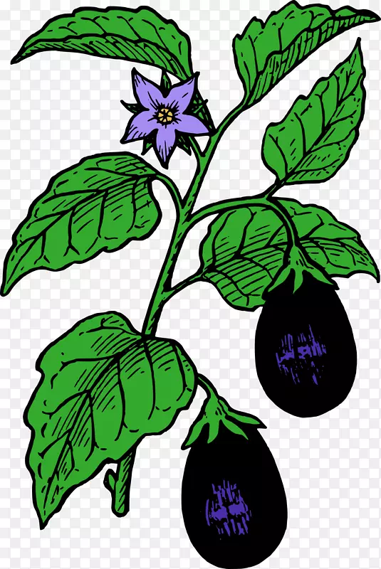茄子番茄意大利面千层面剪贴画茄子剪贴画