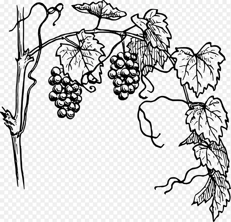 白葡萄酒葡萄剪贴画.葡萄叶透明
