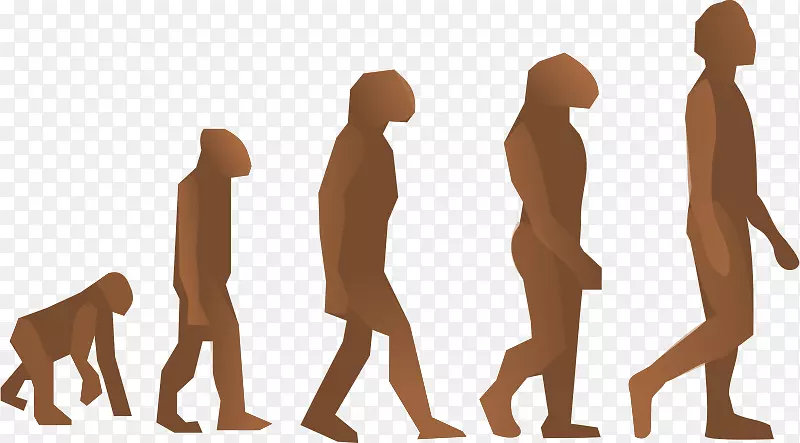 人类进化智人-人的自然选择-生物学剪贴画