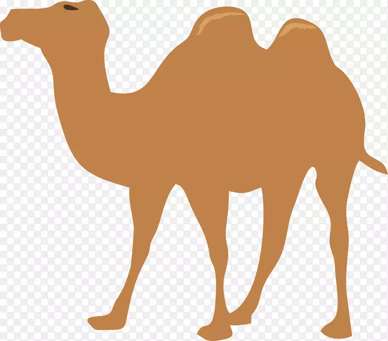 骆驼可伸缩图形剪辑艺术行走骆驼