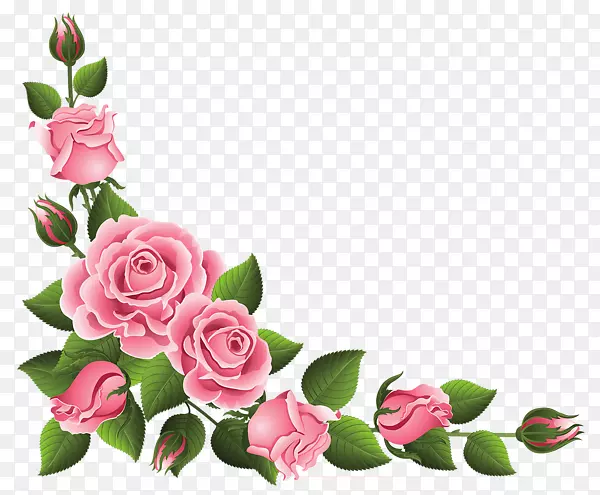 玫瑰粉色剪贴画-粉红色玫瑰边框