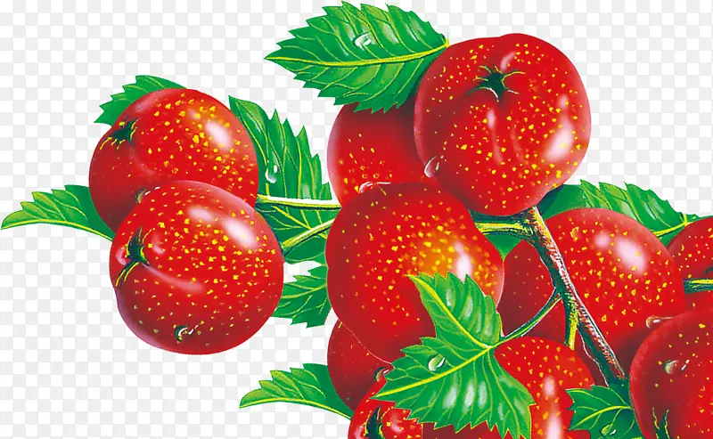 草莓果实-樱桃