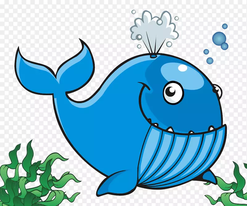 露脊鲸蓝鲸
