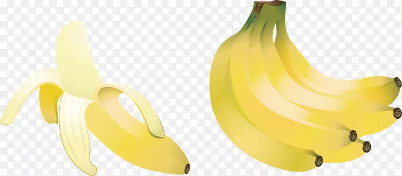 香蕉浆果食品插图-香蕉