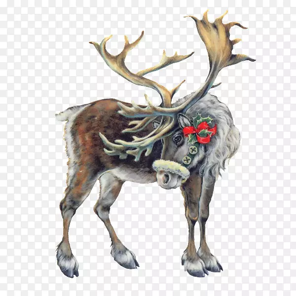 Pxe8re noxebl Lapland驯鹿圣诞老人圣诞鹿