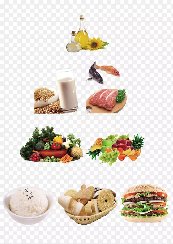 食物金字塔健康饮食营养食物金字塔PSD