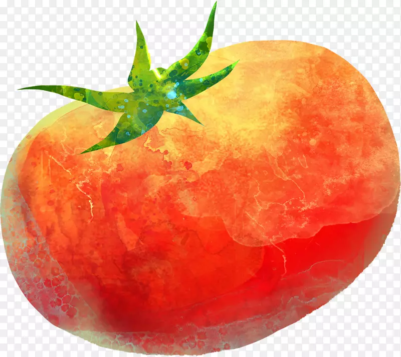 番茄涂装-番茄