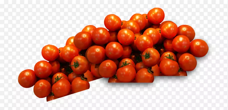 李子番茄汁樱桃番茄灌木番茄蔬菜-番茄蔬菜