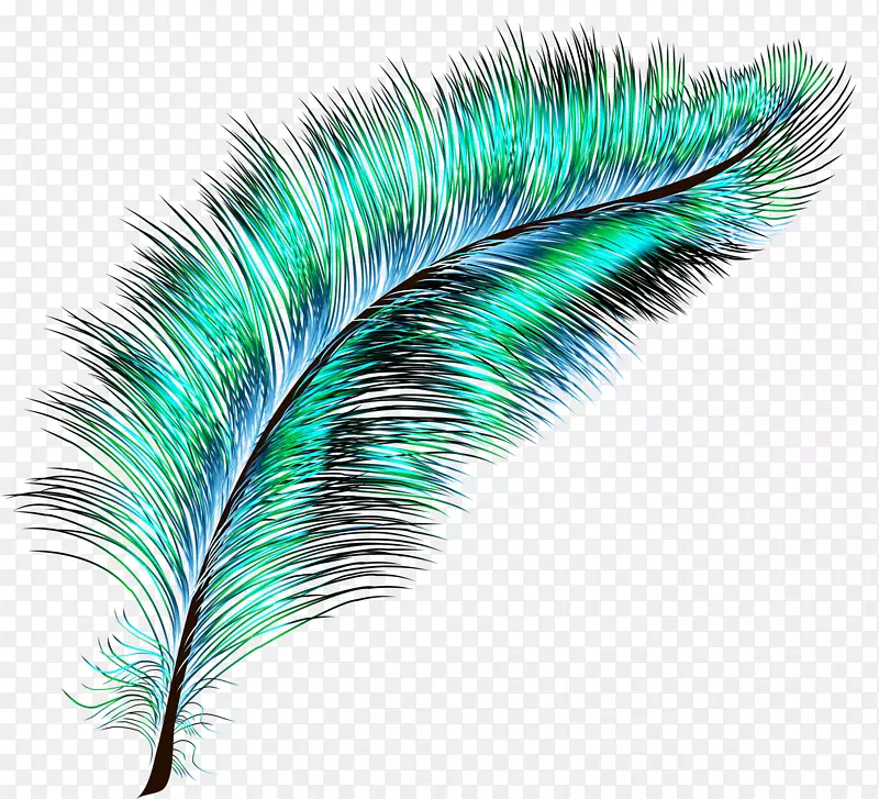 鸟类羽毛绘图.蓝色羽毛