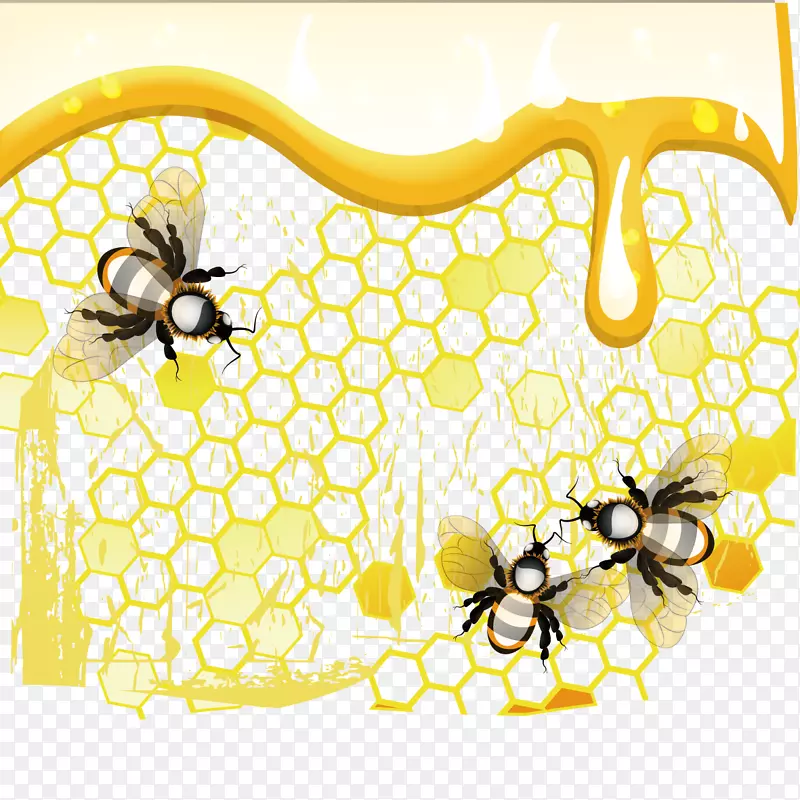 蜜蜂蜂巢-蜜蜂和蜜蜂