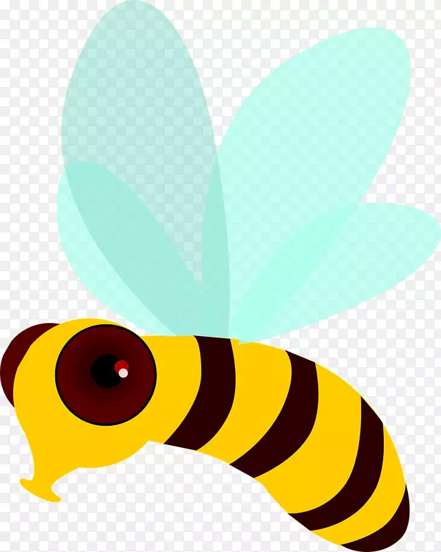 蜜蜂飞行蝴蝶夹艺术飞行蜜蜂