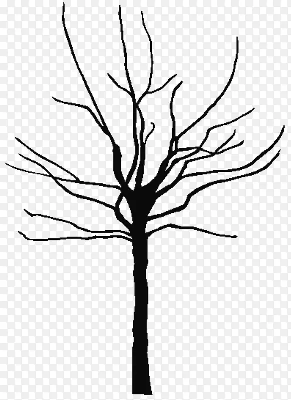 树枝橡木剪贴画-树木轮廓图像