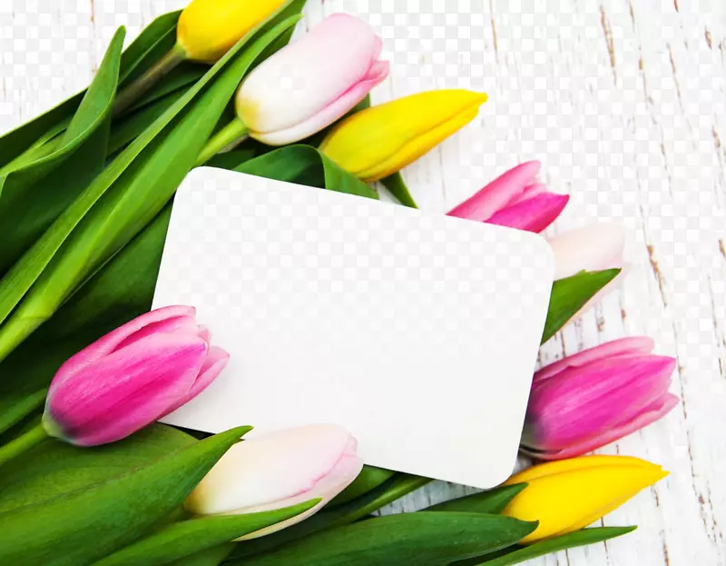 郁金香花-美丽的郁金香和卡片
