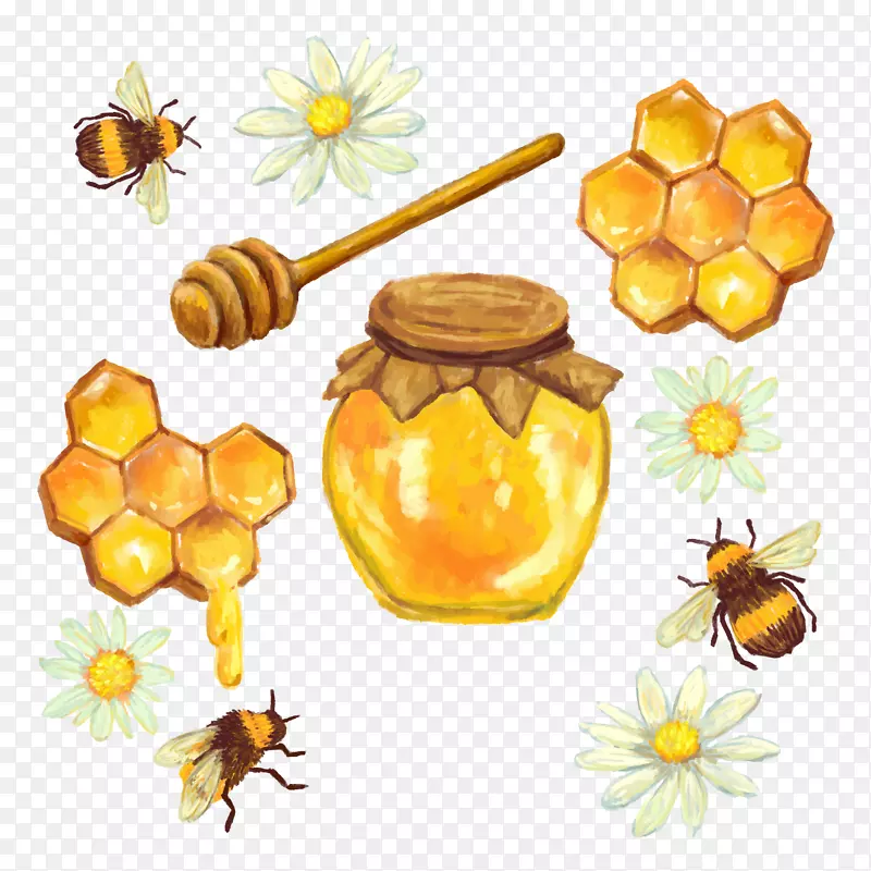 蜂巢花蜜载体蜂蜜罐