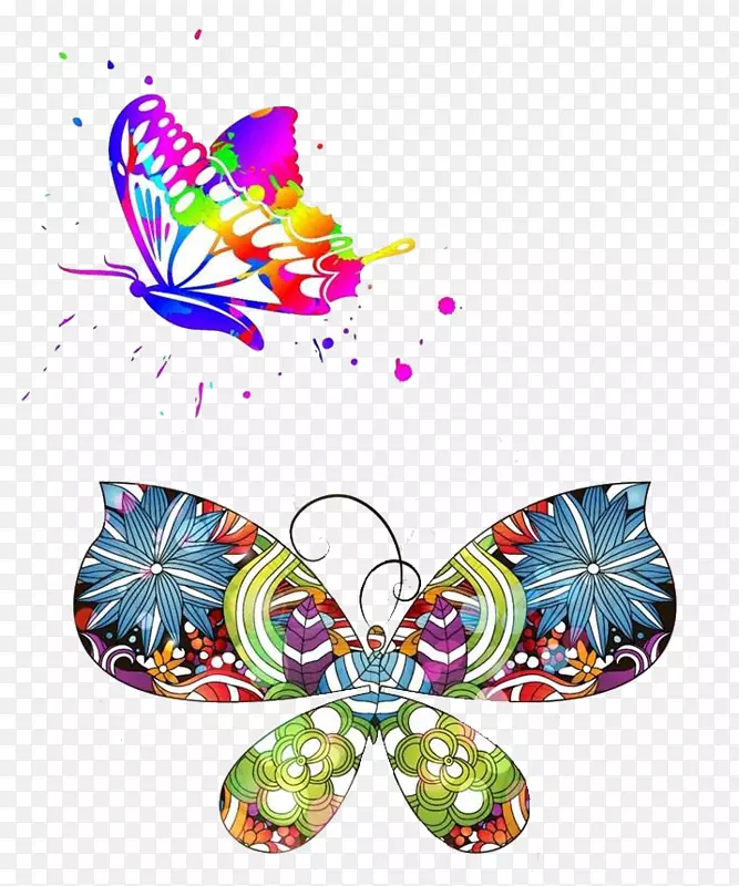 蝴蝶插图-彩色蝴蝶图