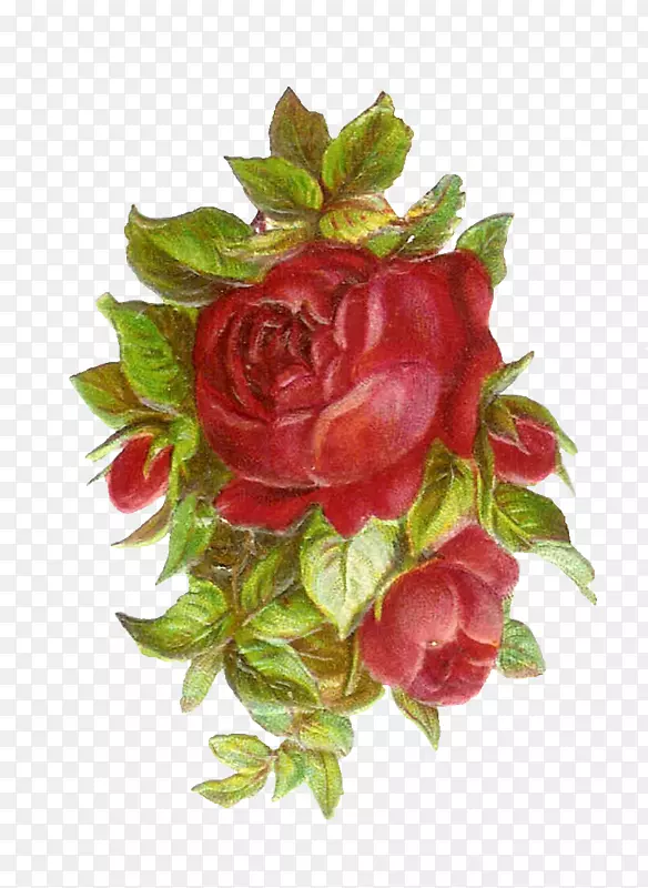 玫瑰花古董粉色剪贴画-复古玫瑰图片