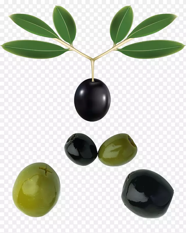 橄榄油.带叶的黑色橄榄绿
