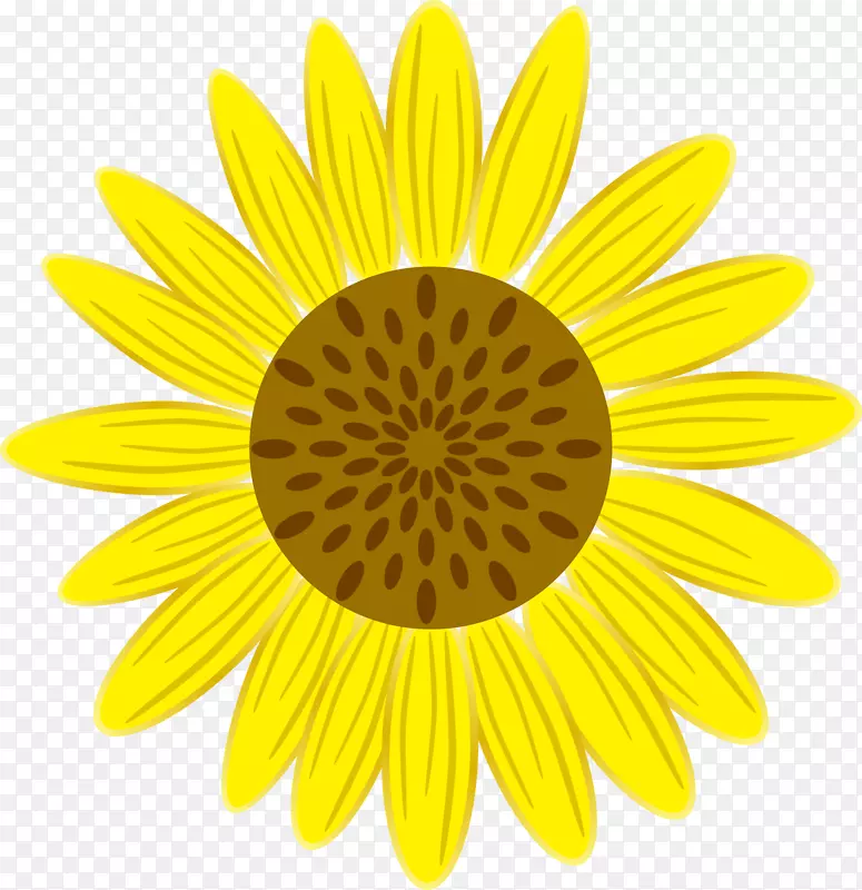 对称黄色花瓣图案-向日葵