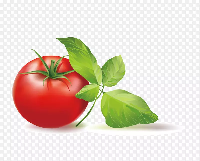 樱桃番茄意大利番茄派夹艺术番茄