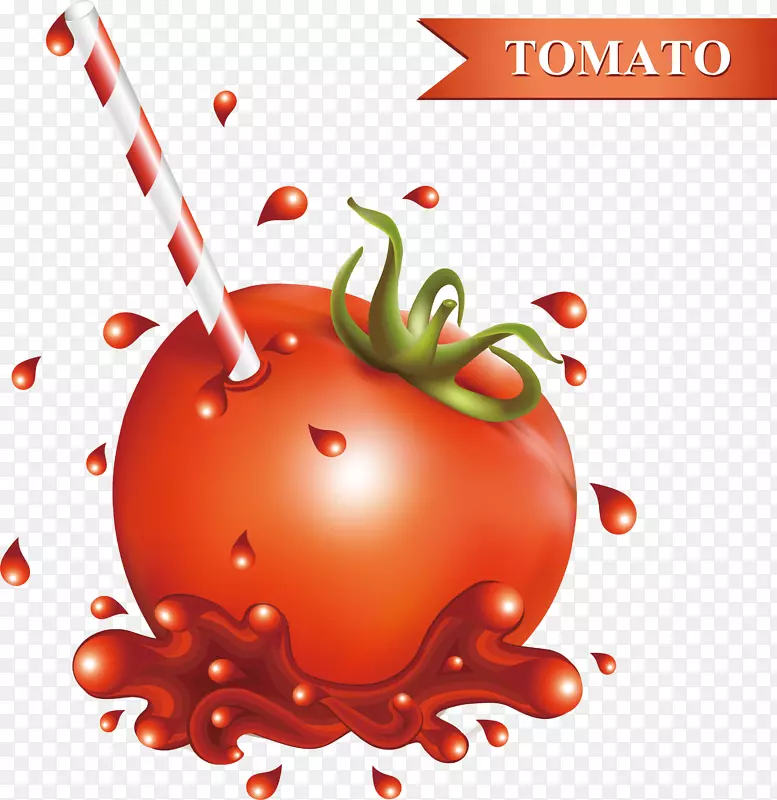 番茄汁汉堡包樱桃番茄酱载体番茄