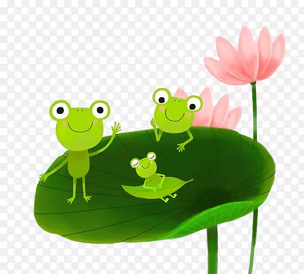真正的青蛙树蛙插图-荷叶上的青蛙