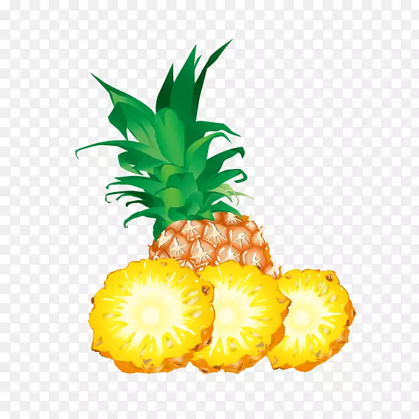 菠萝果实可伸缩图形剪辑艺术-菠萝