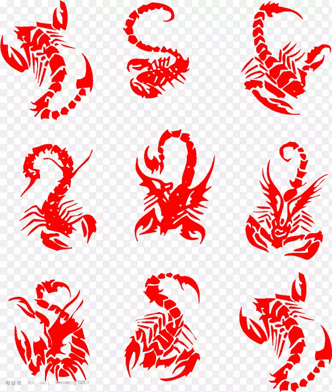 蝎子纹身夹艺术.剪纸红色蝎子形状