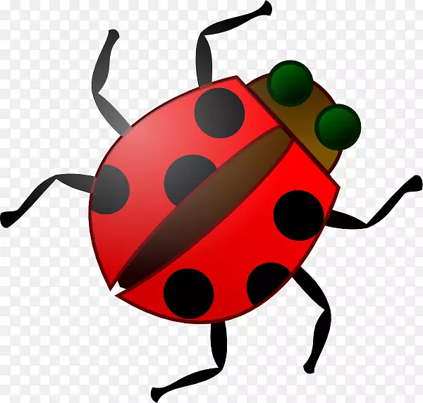 昆虫软件免费内容剪贴画甲虫剪贴画