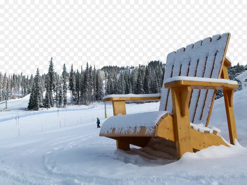 雪地滑雪胜地加拿大滑雪运动椅