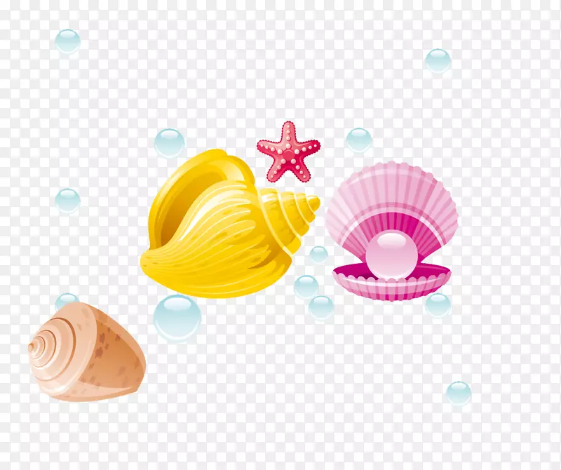 珍珠贝壳海螺贝壳珍珠