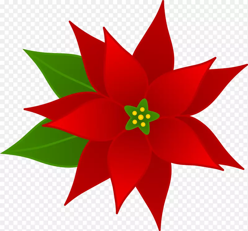 圣诞节免费内容剪贴画-一品红花卉剪贴画