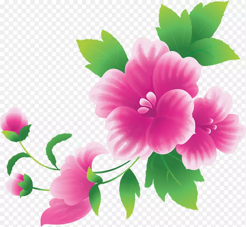 粉色花卉剪贴画-免费鲜花图片