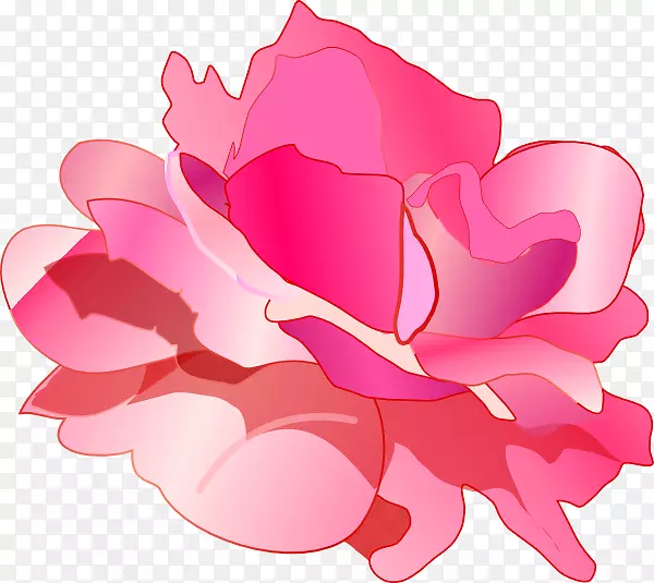 玫瑰粉红剪贴画-粉红色玫瑰图片