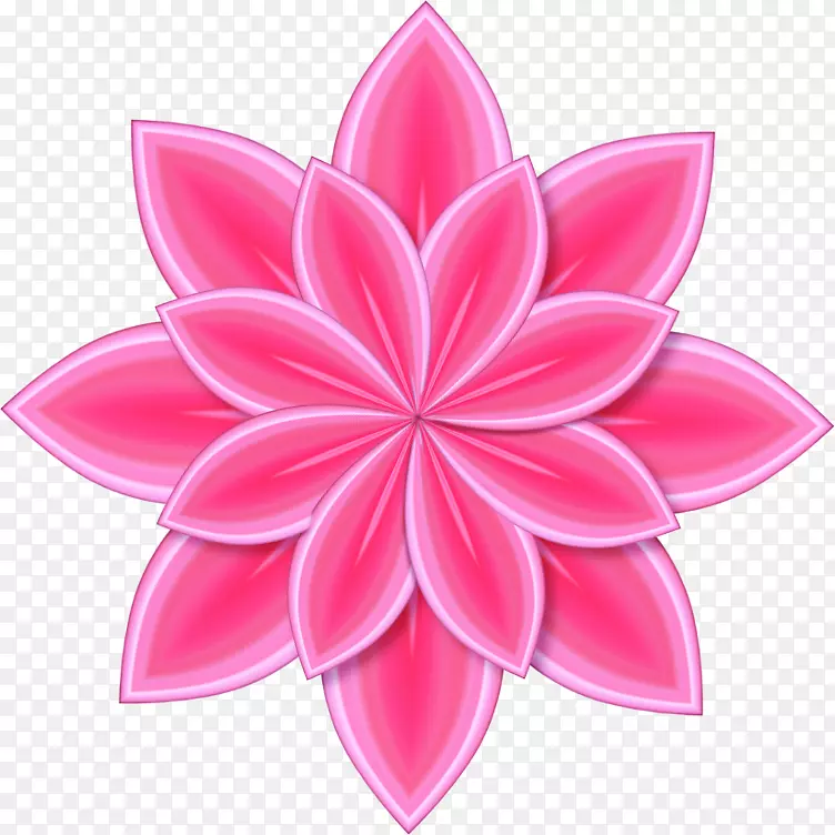 彩色图案-粉红色花朵图像