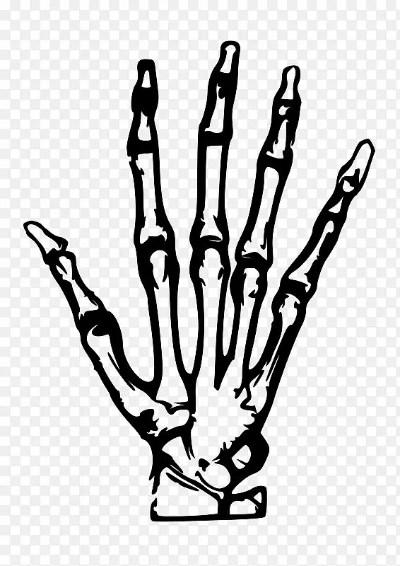 人体骨骼手骨夹艺术.简单手绘骨骼手