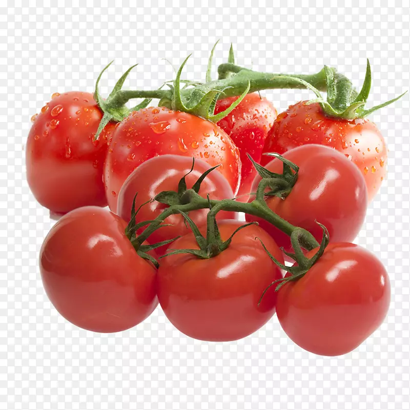 番茄酱熟化番茄罐头提取物-番茄图片