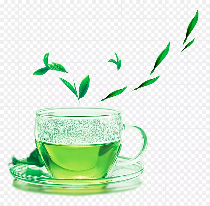 美坛茶的经典之作-绿茶