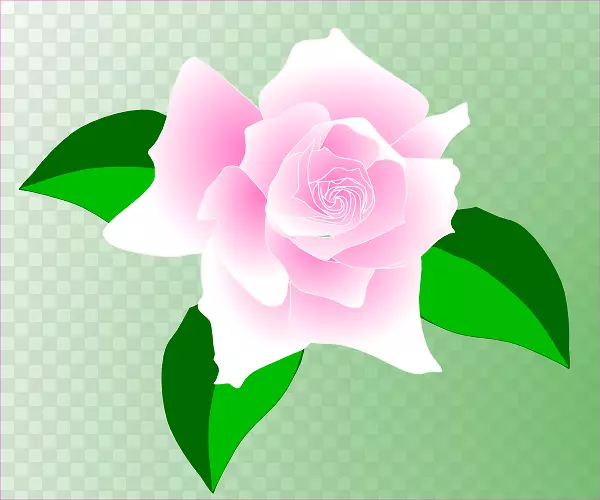 玫瑰粉色剪贴画-动画玫瑰图片