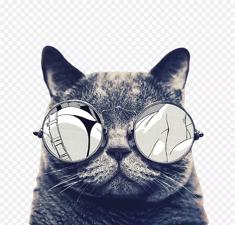 猫图标-戴太阳镜的猫
