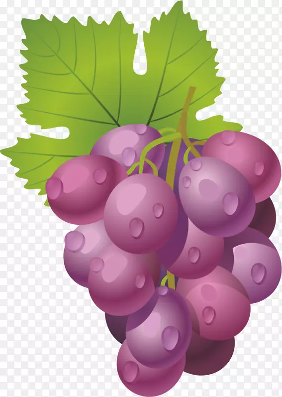 葡萄酒水果-葡萄，水果